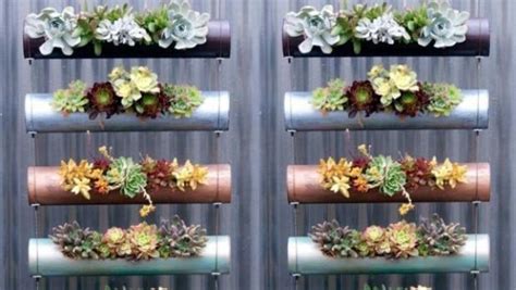 Most of its species produce flowers in january but some of the species produce flowers in spring or. How to grow an edible vertical garden in winter | Stuff.co.nz