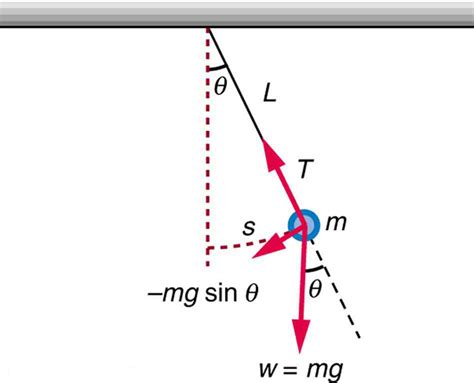 The Simple Pendulum · Physics