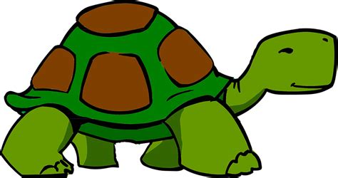 Free Pictures Free Images Stock Images Free Cartoon Turtle Picture