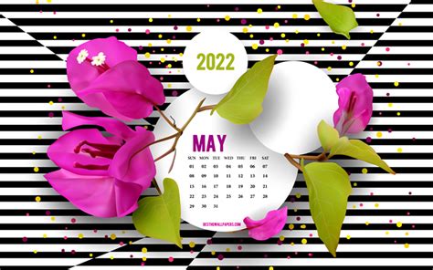 Download Wallpapers 2022 May Calendar 4k Background With Flowers
