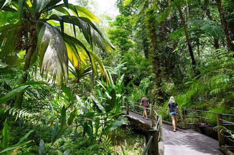 9 Colorful Big Island Botanical Gardens Worth Visiting