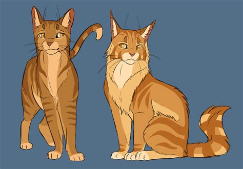 Brackenfur And Thornclaw Drawingtechniques Warrior Cats Art Warrior
