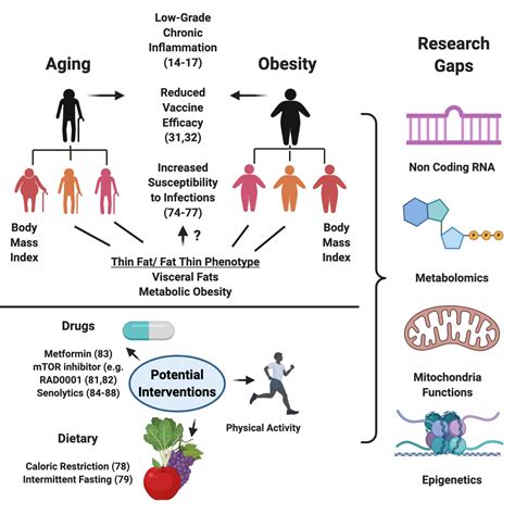 Gearing Up For The Future Mitigating Dysregulated Inflammation In