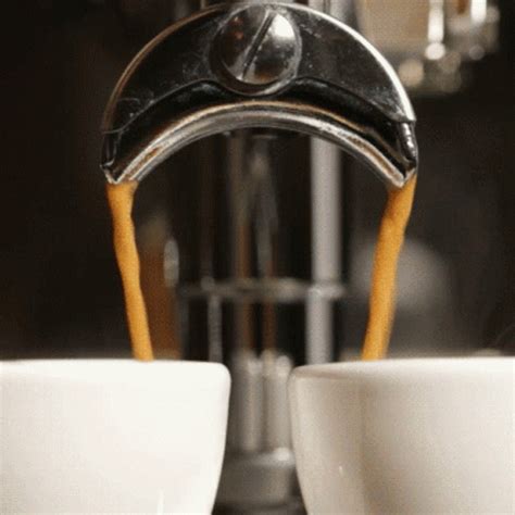 Coffee Cup Gif Coffee Cup Hot Discover Share Gifs