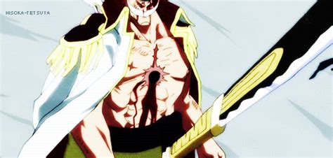 One Piece Animated 