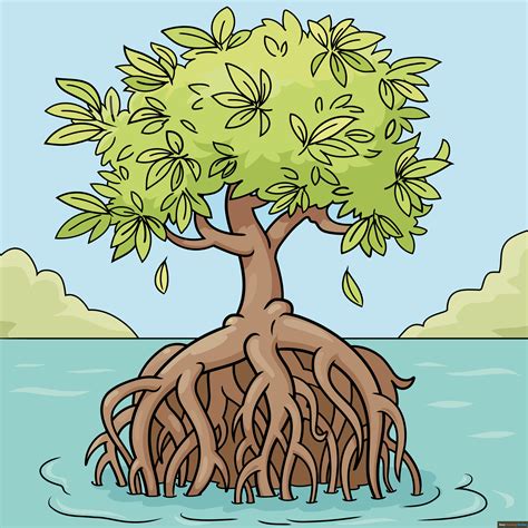 Red Mangrove Tree Drawing Sketch Coloring Page The Best Porn Website