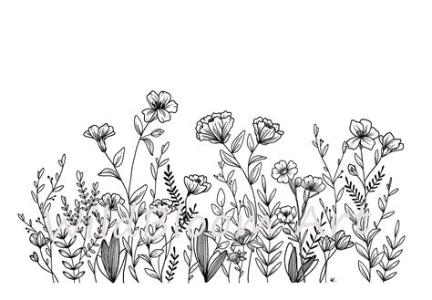 Wildflowers Medley Wall Art Hand Drawn Florals Wildflower Etsy Botanical Line Drawing Floral
