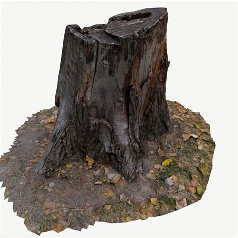 Low Poly 3d Scan Bpr Tree Stump 03 Cgtrader