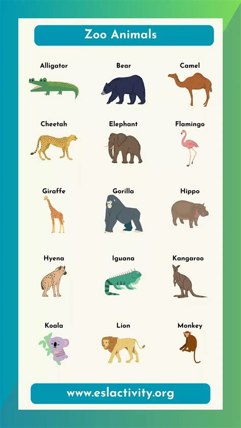 List Of Zoo Animals Most Common Zoo Animals In English Zoo Lessons