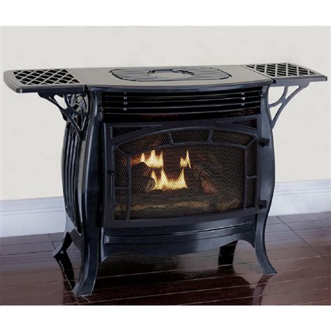 Reviews For Duluth Forge 26 000 Btu Ventless Dual Fuel Stove With Remote Control In Gloss