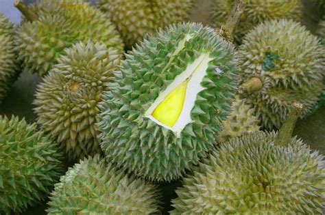 Perhaps because of its intimidating outer shell, dragon fruit is most frequently seen as a flavoring for cocktails or smoothies. 10 Exotic Fruits From Indonesia | Health Benefits of Fruit
