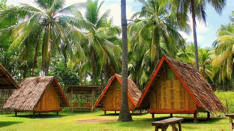 Where To Stay In Moalboal Cebu Archery Asia Nipa Huts