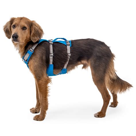 Ruffwear Flagline Harness Dog Harness Free Uk Delivery Alpinetrek