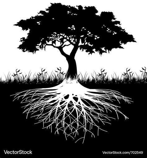 Tree Roots Silhouette Royalty Free Vector Image