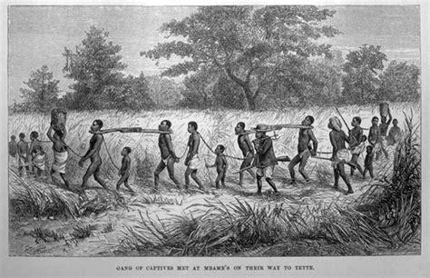 Slave Coffle Central Africa World History Commons