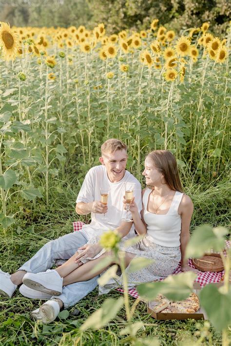 Young Couple Having Picnic On Sunflower Field At Sunset 3559942 Stock