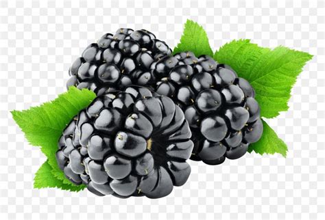 Blackberry Fruit Clip Art Png 1360x926px Cobbler Berry Bilberry