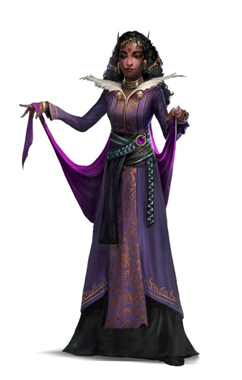 Female Elf Bard Sorcerer Aristocrat Pathfinder 2E PFRPG DND D D 3 5