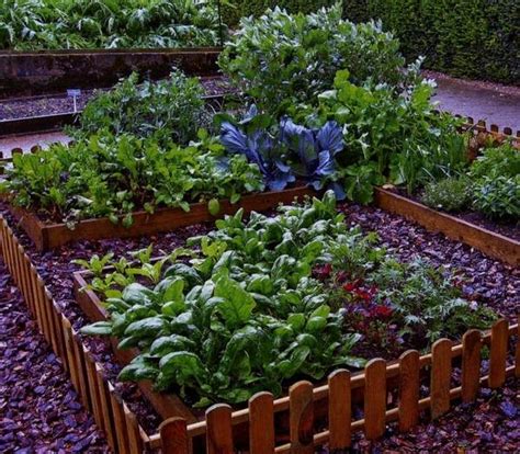 Find the length and width of the garden if its area is 2400 square feet. Vegetable garden ideas - decorative designs of the garden plot