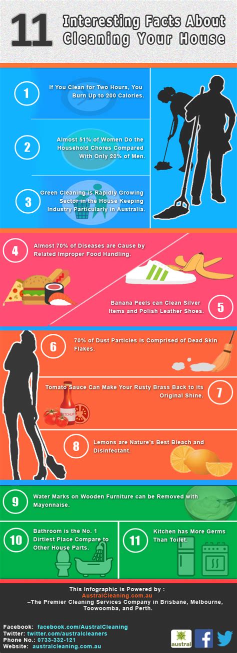11 Interesting Facts About Cleaning Your House Infographic Post