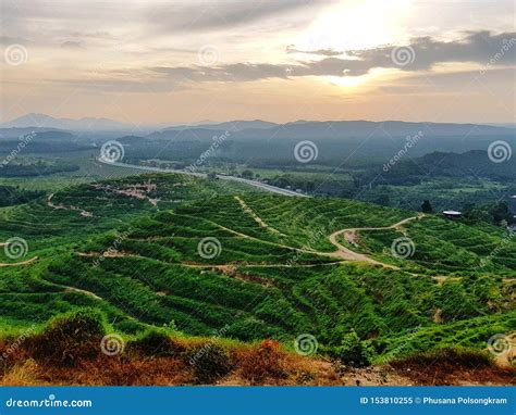 Scenic View Of Landscape Against Sunset Sky Stock Image Image Of Hill