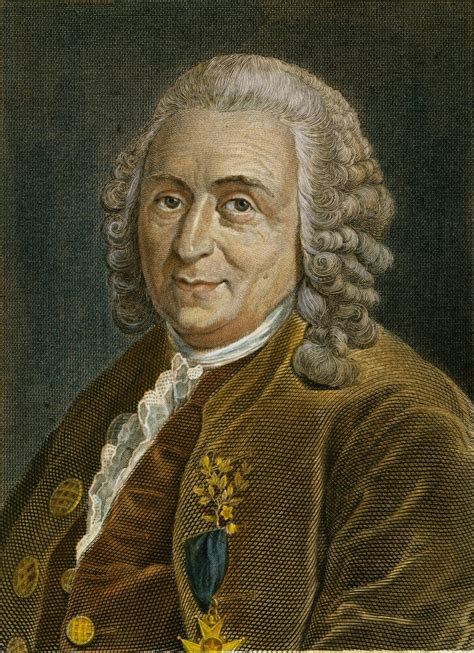 Posterazzi Carolus Linnaeus 1707 1778 Nswedish Botanist Steel