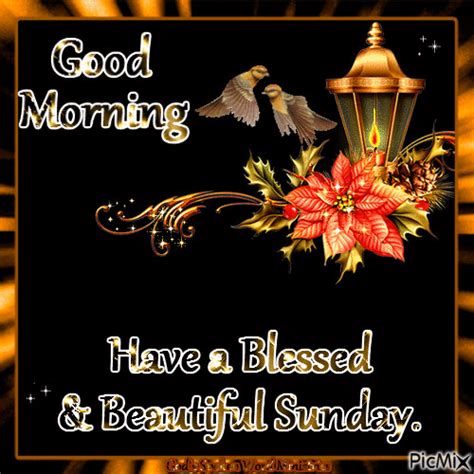 Good Morning Blessings Quotes Animation