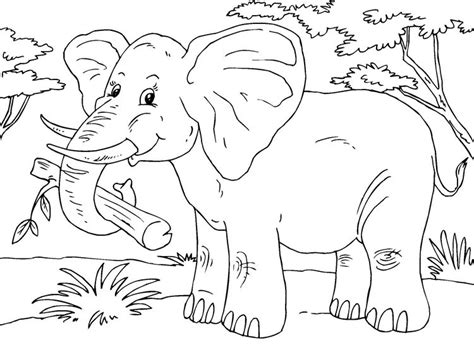 Kostenlos bilder zum ausmalen drucken. Malvorlage Elefant | Elephant coloring page, Coloring pages, Animal coloring pages