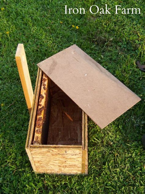 Step By Step Instructions For Building A Swarm Box Used To Catch Wild