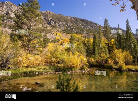 Fall Colors Bishop California Stock Photo Alamy