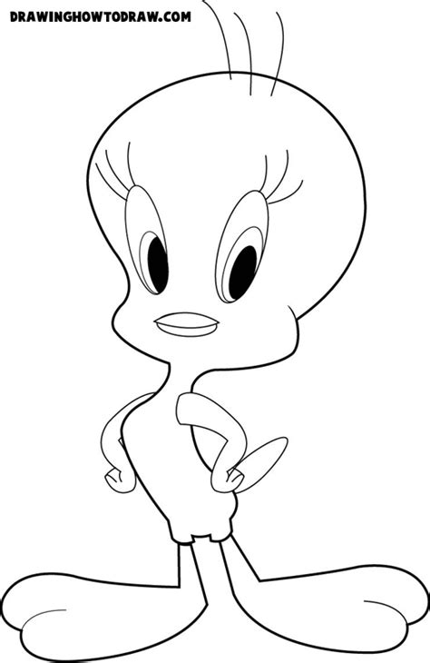 Tweety Bird from Looney Tunes Coloring Book Page Printout - How to Draw