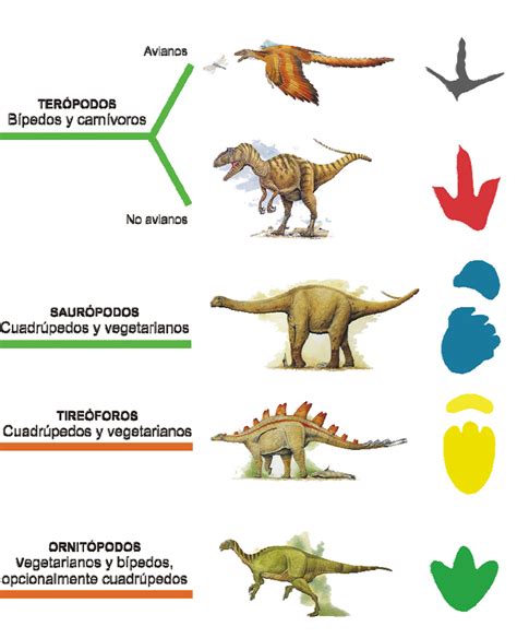 Dinosaurios Nombres Niños Tipos De Dinosaurios Para Ninos