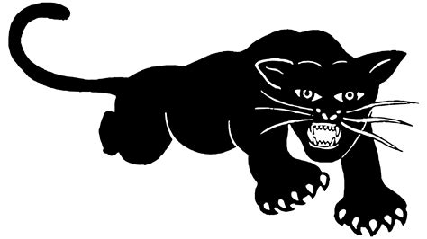 Black Panther Party Logo Histoire Signification De Lemblème