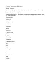 This article will shed some light on the various types of movements in the human body. 31 Joints And Movement Worksheet - Worksheet Resource Plans