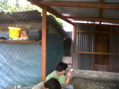 Check spelling or type a new query. Gerakan Belia 4B Tanah Liat: Pembinaan Reban Projek Ayam ...