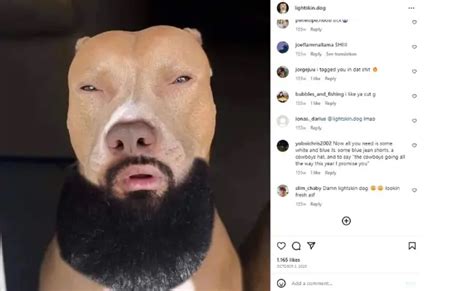 Light Skin Dog Strikes A Pose A Hilarious Tail Wagging Show