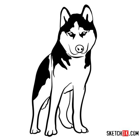 Husky Cartoon Drawing Free Download On Clipartmag