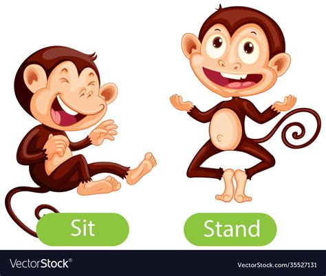 Opposite Words With Sit And Stand Royalty Free Vector Image
