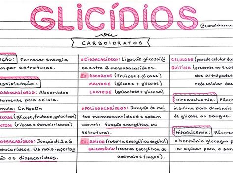 Mapas E Resumos Google Drive Glicidios Resumos Enem Ci Ncias Do My