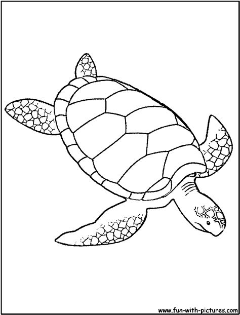 Maybe you would like to learn more about one of these? Sea Animals Coloring Pages - Free Printable Colouring ...