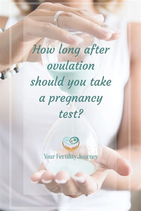 How Long After Ovulation Can I Take A Pregnancy Test