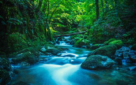 Download Wallpaper 3840x2400 River Stones Moss Trees Branches
