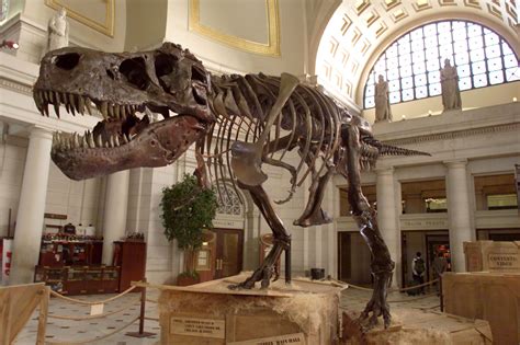 At the met fifth avenue. National Museum Day 2018: Best Museums to Visit for Free ...