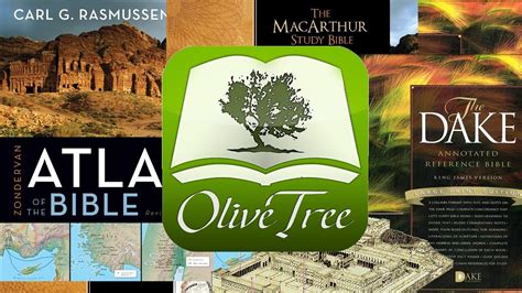 Olive Tree Bible Reader Review Youtube