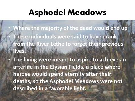 Fields Of Asphodel Greek Mythology