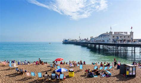 The brighton community garden supporting marginalised communities. UK travel: Take in Brighton's Wilde side | Travel News ...