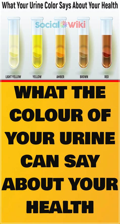 Urine Color Chart Whats Normal And When To See A Doctor Urinal New Crochet Hat Size Chart