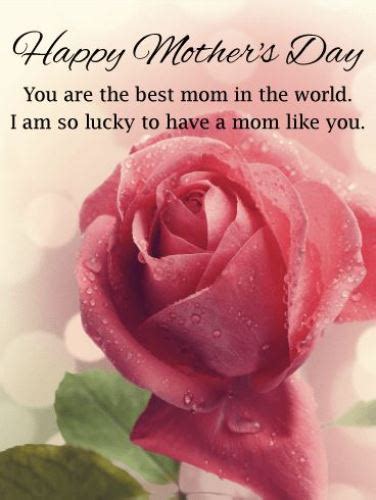 Dear mother, wishing you a happy mother's day from your loving son. 13