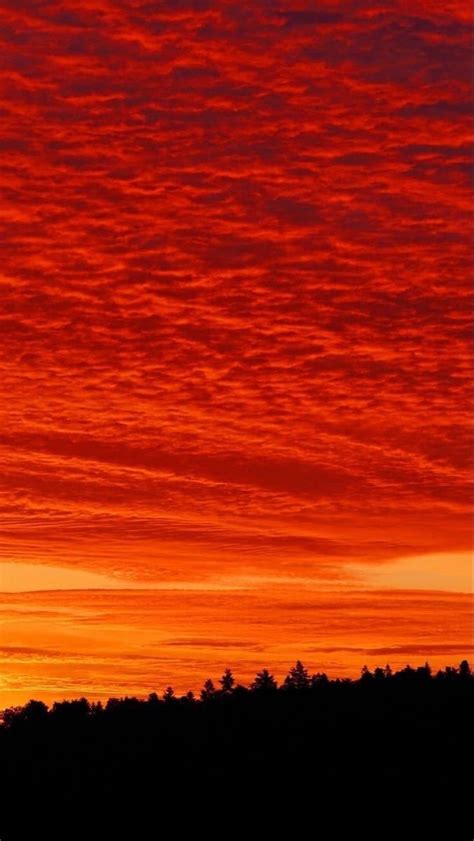 Pin By Meganeliz On X In 2021 Orange Aesthetic Red Sunset Sunset