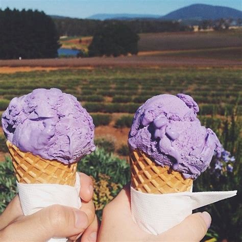 How Good Does This Look Lavender Ice Cream From A Tasmanian Lavender